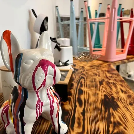 Le Cocon Colore Carcassonne