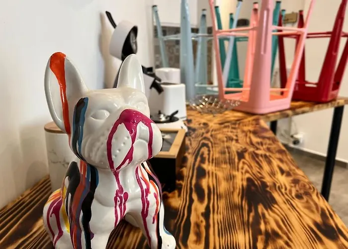 Le Cocon Colore Carcassonne